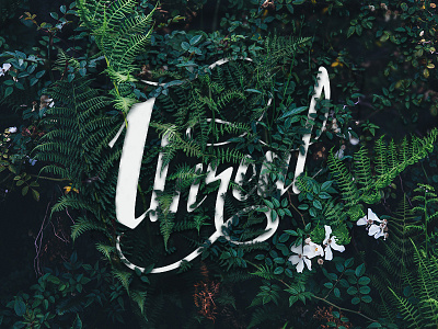 Unreal-Handlettering art concept draw graphics hand lettering illustration ink typography visual