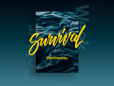 Survival - Wednesday