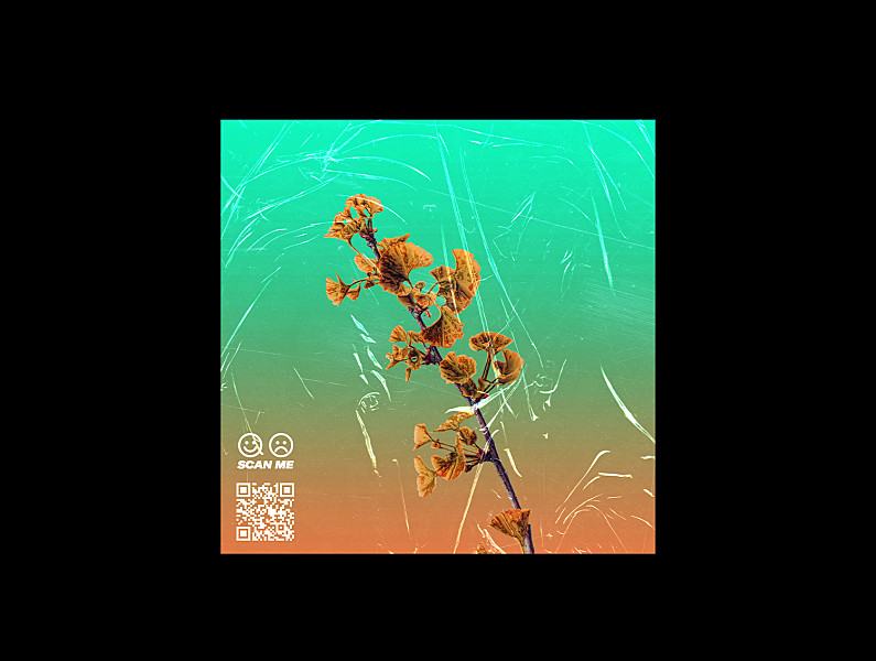 flume album art 300x300