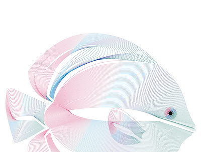 Fish color line art art branding design graphic design illustration line art logo minimal typography vector