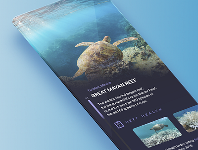 Creative Jam 2020 Reefstar adobe xd blue coral coral reef creative jam design education app mobile mobile app mobile ui mockup ocean turtle ui ux