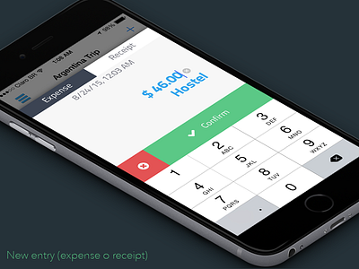 Easy Balance - new entry app balance easy finance flat input ios iphone money ui ux