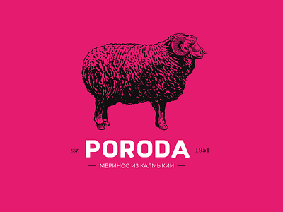 PORODA | Brand identity and logo brand branding design figma food graphic design identity logo meat product