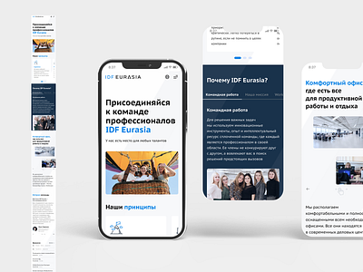 Career UI redesign | IDF Eurasia bank banking design figma fintech graphic design ui банк лендинг финтех