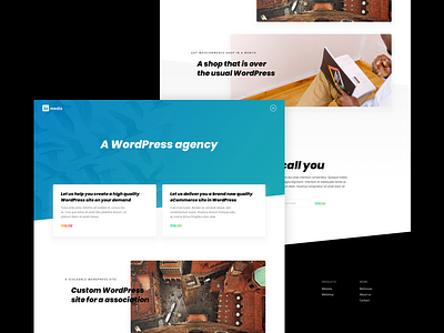 WordPress agency