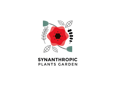 SynanthropicPlants Garden brand design flower garden green plants