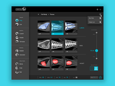 Multivet Dashboard