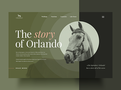 Here is the concept of Orlando project about card green grid horse orlando page stable