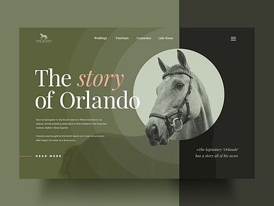 Here is the concept of Orlando project