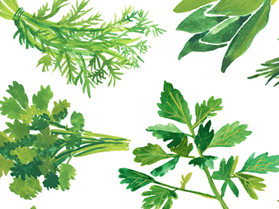 Herbs Painting