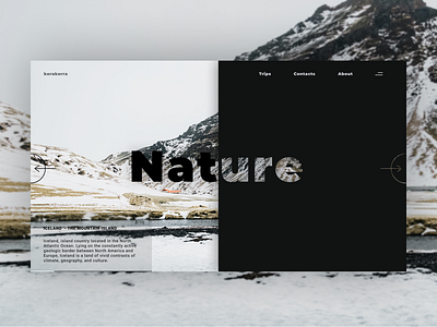 Nature - Iceland trip agency mainpage branding design iceland landing page landing page design landscape main page nature typography ui ux ui design ux web web design web ui webdesign website website builder website concept website design