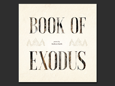 BOOK OF EXODUS cover design book cover design illustration type typography