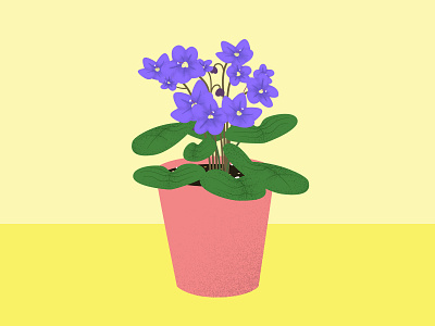 African Violet flower flower illustration green illustration illustrator plants potted plant purple violet