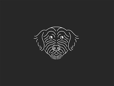 Buckley dog illustration line drawing portuguese water dog puppy