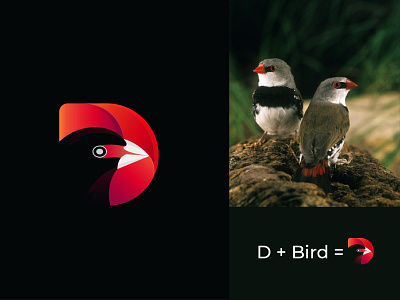 D Bird logo ( Diamond firetail Bird )