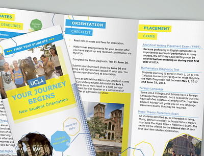 UCLA Orientation Brochure brochure design brochure mockup design indesign