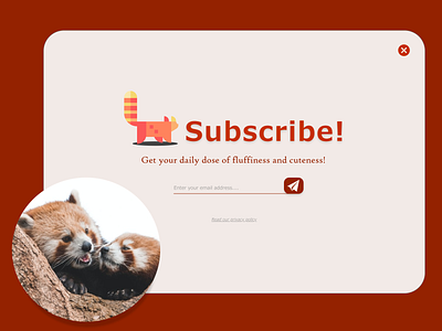 #026_Subscribe_DailyUI 026 100daychallenge dailyui dailyuichallenge lesser panda popup popup design popup window red panda ui uichallenge ux