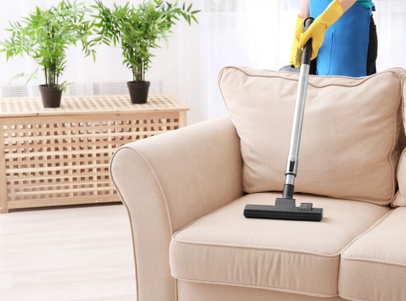 Upholstery cleaning Etobicoke by CNF Services on Dribbble