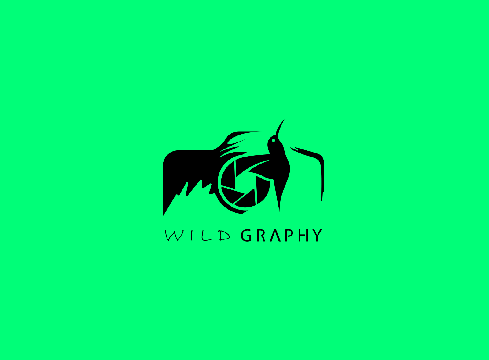 wild (camera + bird) logo by DEVSMARK on Dribbble