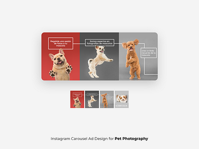 Instagram Carousel Ad Design facebook ad instagram post instagram stories instagram template social media design social media designs