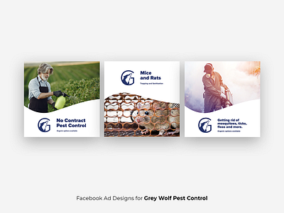 GreyWolf Instagram Carousel Ad Design