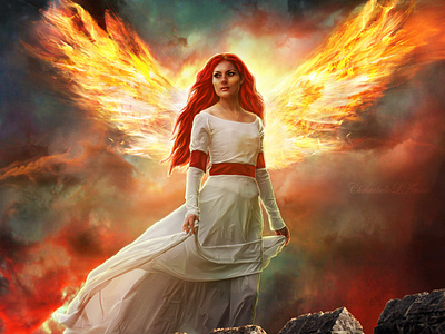 Wings bookcoverdesign design digitalart fantasyart illustration photoart photomanipulation