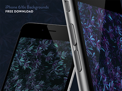 iPhone 6/6s Backgrounds - Free Download 6 6s background download free iphone wallpaper