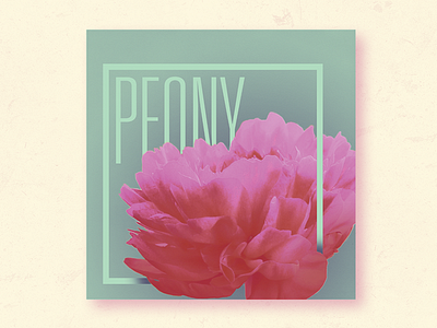 Peony Print