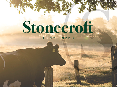 Stonecroft Logo branding identity logo logomark logotype style guide