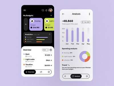 Money Budgeting And Expenses Mobile App Design