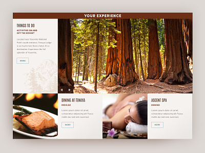 Tenaya Experiences engraving grid mosaic nature rustic sequoia trees website website design yosemite
