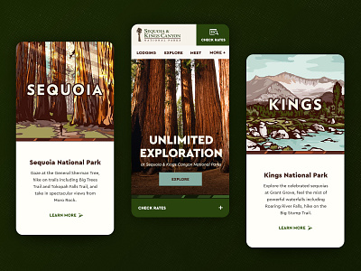 Sequoia & Kings green illustration kings canyon mobile national park nature sequoia trees website website design