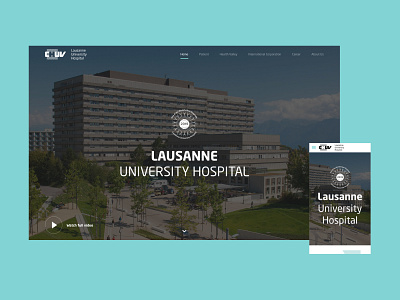 Lausanne University Hospital branding clean design geneva iconography icons ideative swiss switzerland ui ux