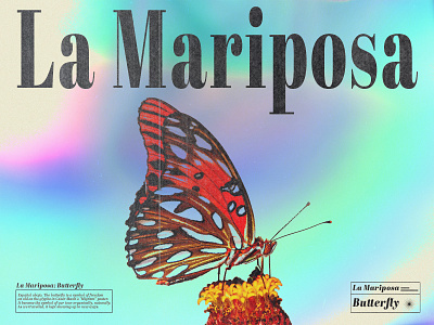La Mariposa - Butterfly abstract artwork colorful design digital art editorial editorial design gradient graphic design graphic designer minimal modern photoshop poster print print design typography vector