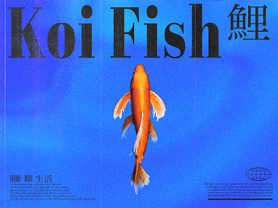 Koi Fish