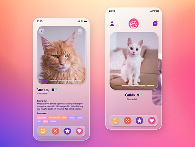 Cats app dailyui design figma glassmorphism mobile pets ui