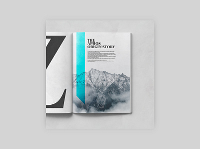 Magazine design grey layout magazine minimal