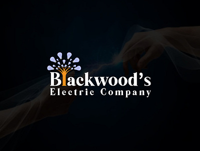 Blackwoods Electric Co. electric logo electro elegant logo maker logodesign minimalist logo