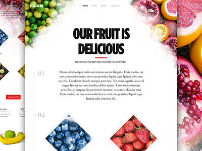 Delicious Fruit c4d cinema 4d cinema4d fruit header shop sketch store web webdesign website