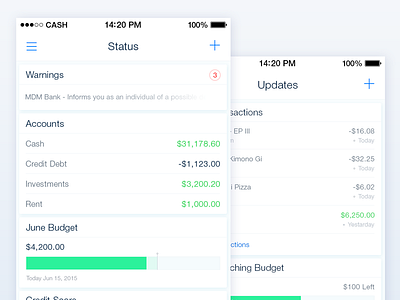 CashFlow - Financial Ui Kit app budget cash finance financial interface ios iphone minimal ui ui kit ux