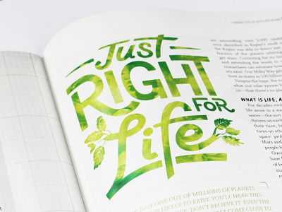 Editorial design earth editorial illustration leaves lettering line monoweight nature swash typography