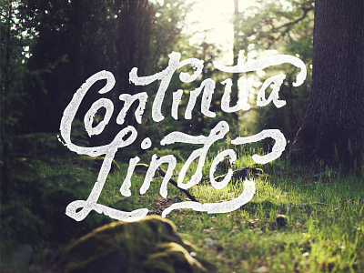 Continua Lindo brush flourish hand lettered lettering nature pen rough swash texture type typography vintage