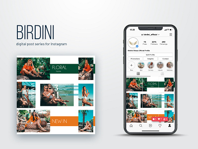 Birdini Digital Campaign app branding design flat logo minimal type typography ui vector