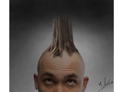 Shaved Head With Tree on Top adobe adobe photoshop adobediting adobephotoshop adobephotoshopcc blending compositing enhancing mergingphotos photoretouching sharpening shaved head tree