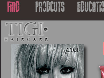 TIGI Proposed Website Design