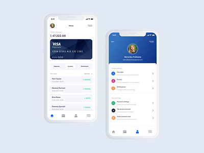 Finance Banking App Concept