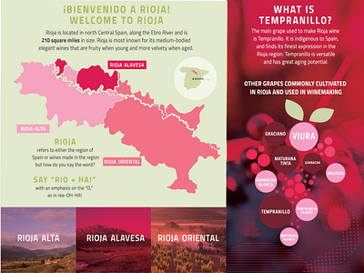 Rioja Wines 101 advertising alcohol branding campaign consumer data viz digital grapes illustration infographic spain typography vineyard wine