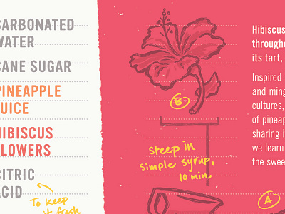 Pineapple Hibiscus design illustration packaging