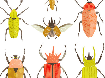 Bright Beetles beetles digital entomology illustration insects nature pattern