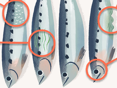 Accessibility Spot for Serious Eats digital editorial food illustration illustration nature sardines